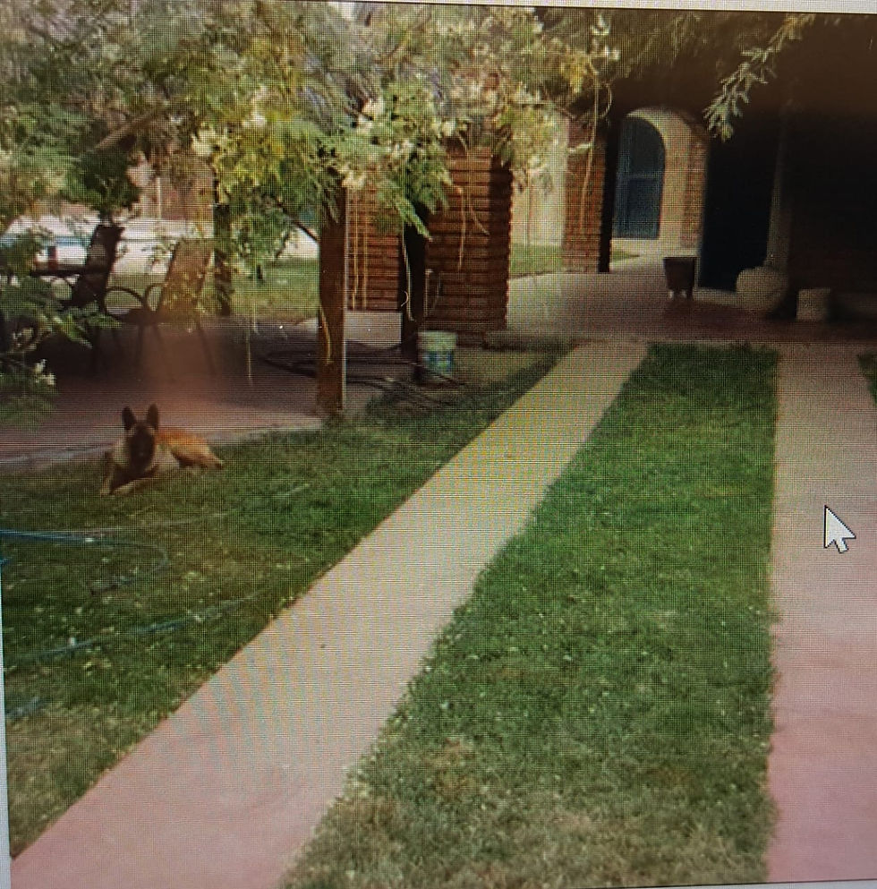 Miniatura: Predio Campestre La Herradura