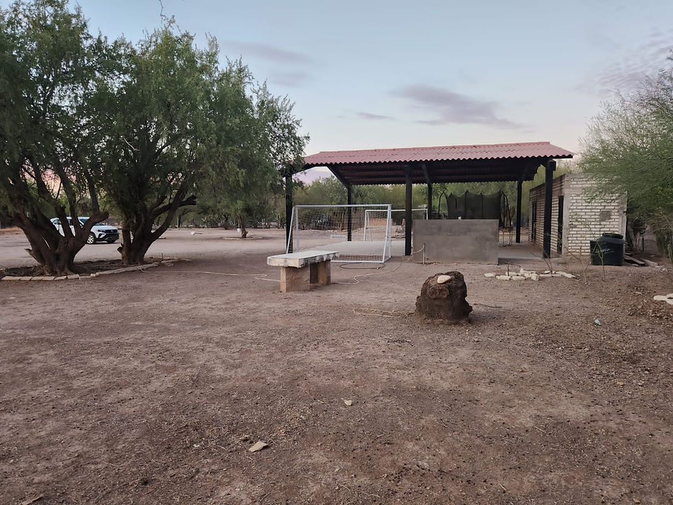 Miniatura: Real Del Alamito