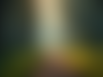 Twin soul Twin Flame: Era of Releasement Lost Communication