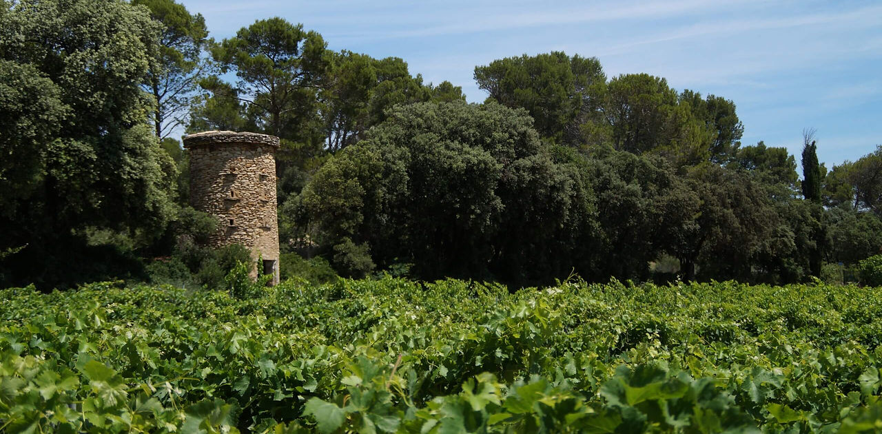 tour-st-martin-scaled.jpg