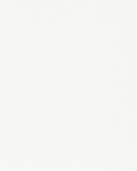 Social Soiréebgt.png