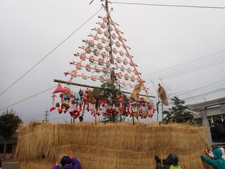 北陸最大級の左義長の藁山が完成しました!