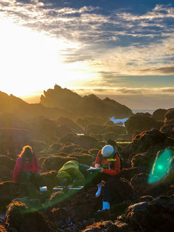 20200110_NW_IMG_1271