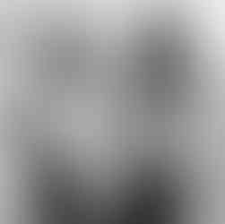 Sergio Ferri, Terre Alte