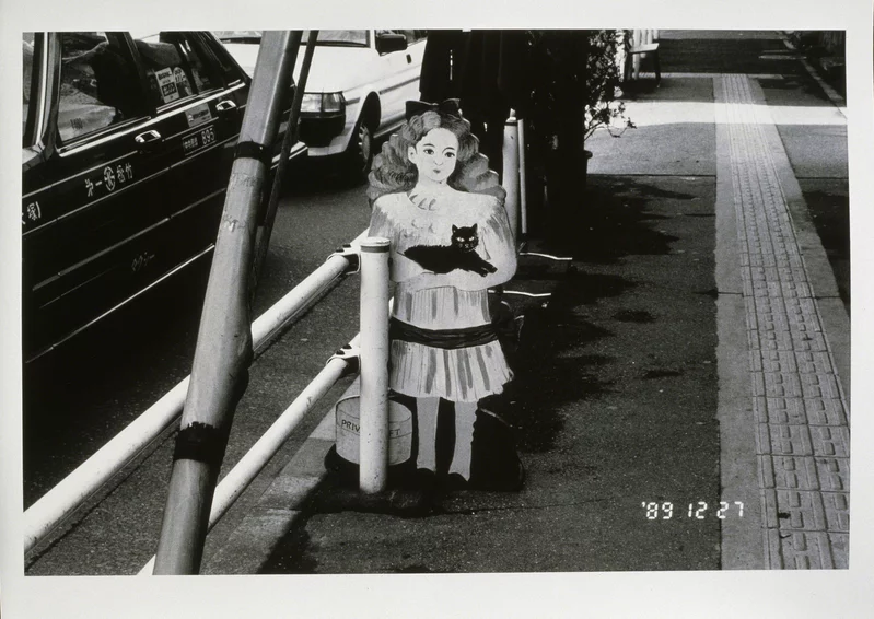 Nobuyoshi Araki - Sentimental Journey