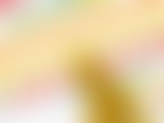 避妊・去勢手術の受付について