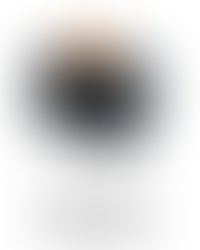 Rise by Dash 2-slice toaster