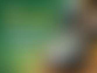 PAT testing for offices and hotels in London checking portable electrical appliance safety | Test Master UK