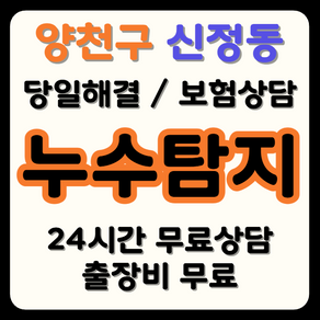 신정동 누수 탐지부터 시공까지, 보험으로 비용 부담 해결
