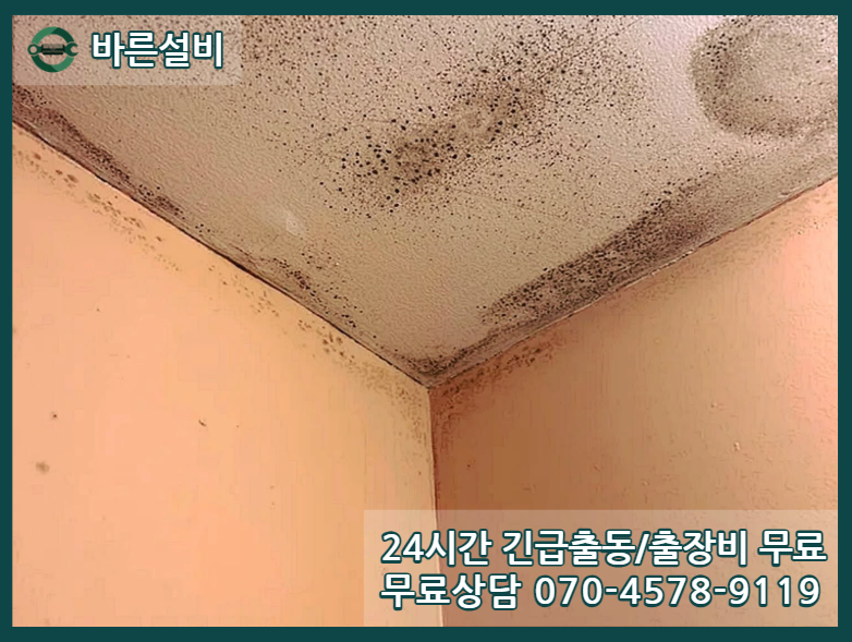 만안구 아파트 누수 천장피해