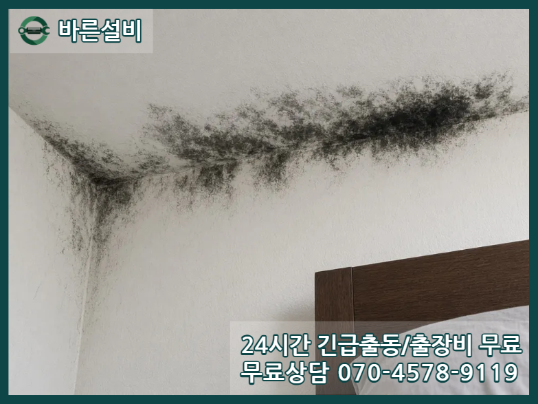달안동 아파트 누수 천장 곰팡이