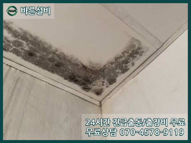 죽전동 아파트 누수 천장 피해