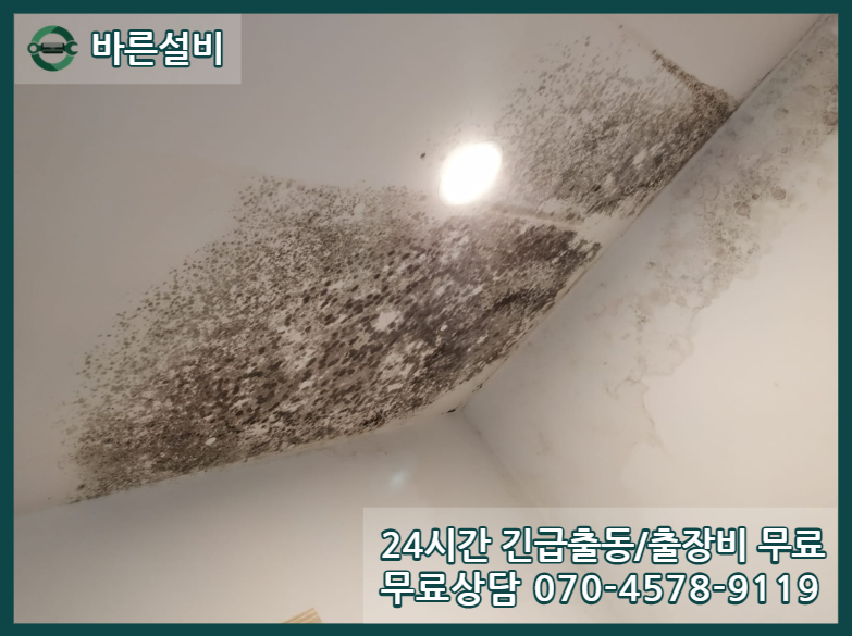 강경읍 아파트 누수 피해