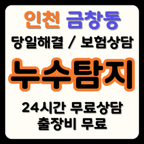 금창동 누수