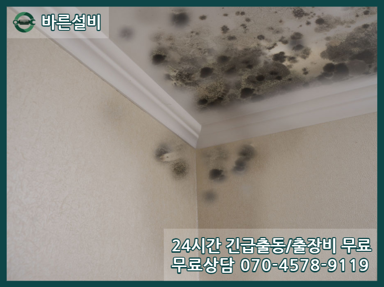 나성동 아파트 누수 피해
