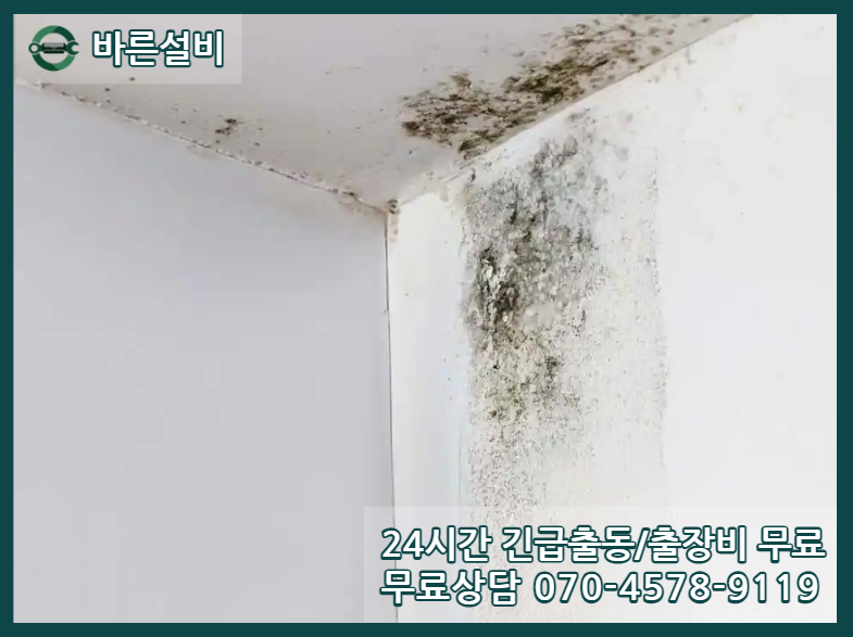 고천동 아파트 누수 천장 피해