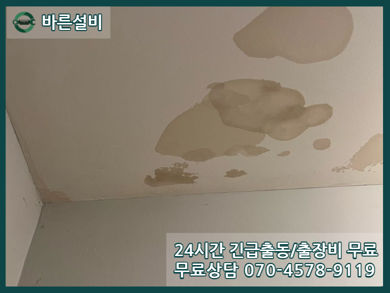 성사동 아파트 누수 천장 곰팡이