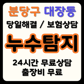 대장동 누수 탐지부터 시공까지, 보험으로 비용 부담 해결