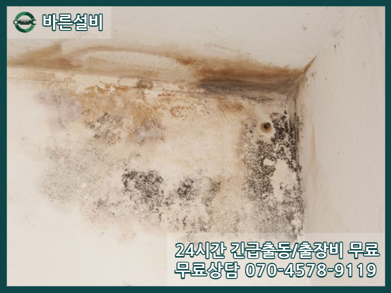 해밀동 아파트 누수 피해