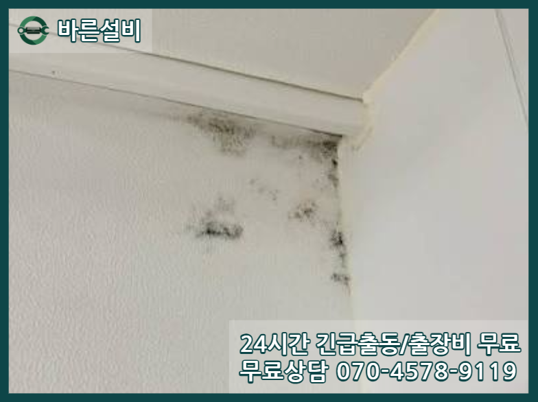 도마동 아파트 누수 천장피해