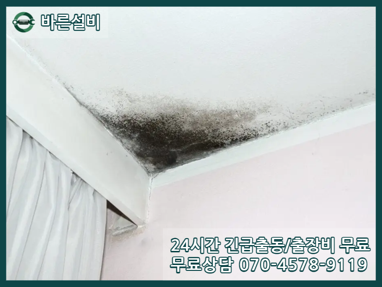 상서동 아파트 누수 천장피해