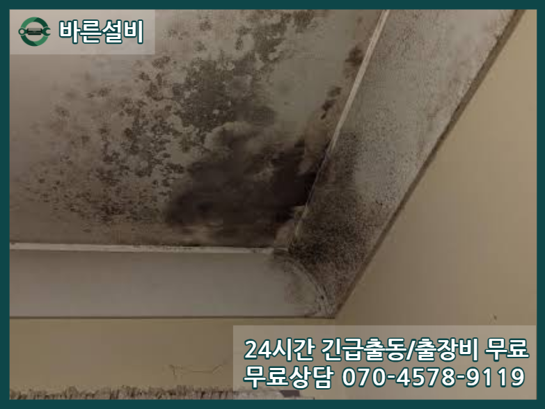 조치원읍 아파트 누수 피해
