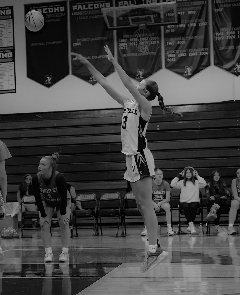 girls basketball-videographer for celestial farms wedding venue at 3116 e. Vienna rd. clio mi 48420