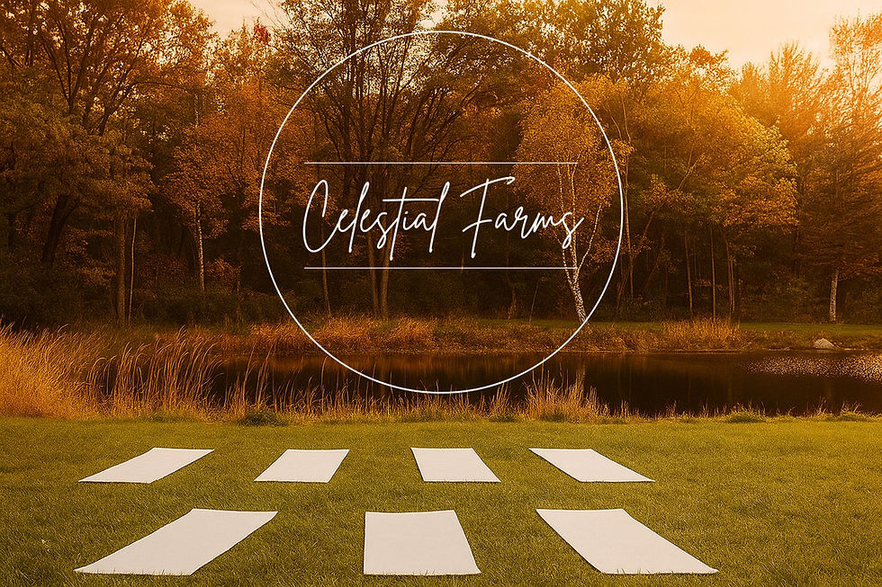 free yoga near me with celestial farms wedding venue in clio, michigan