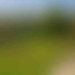 trails and parks in clio mi 