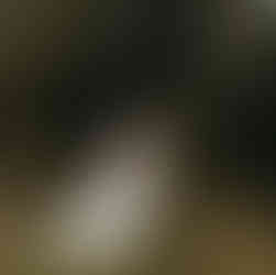 wedding venues near me-michigan wedding venues-detroit wedding venues-celestial farms wedding venue at 3116 E. Vienna Rd. Clio, Michigan 48420-weddings