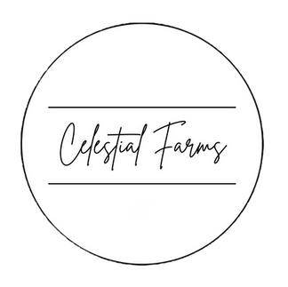 Wedding Venues Near Me with Free RSVP Services & A Free Wedding Website — Here’s Why It Matters