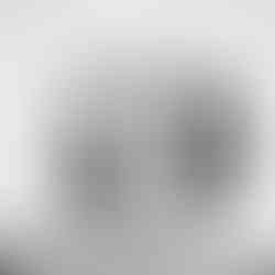 wedding venues near me-michigan wedding venues-detroit wedding venues-celestial farms wedding venue at 3116 E. Vienna Rd. Clio, Michigan 48420-weddings