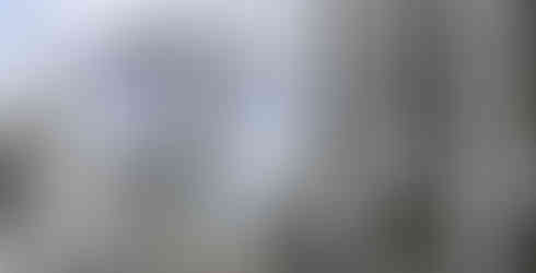 wedding planner for destination wedding