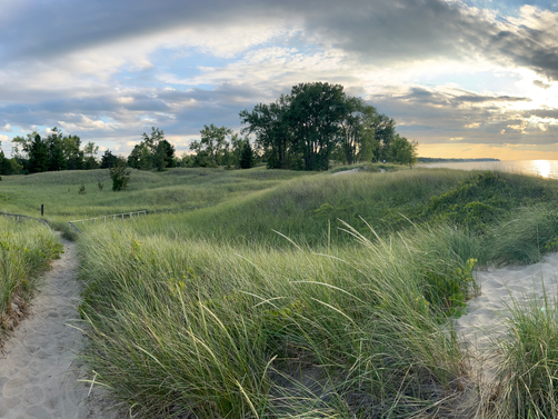 grassy hills at a destination wedding location in michigan-michigan wedding venues near me