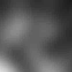 wedding venues near me-michigan wedding venues-detroit wedding venues-celestial farms wedding venue at 3116 E. Vienna Rd. Clio, Michigan 48420-weddings