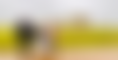 wedding planner for destination wedding