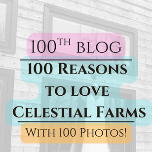 celestial farms wedding venues near me