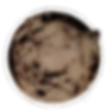 Ambrogio