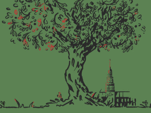 Divest Now: Condemning Institutional Neutrality in the Face of Genocide