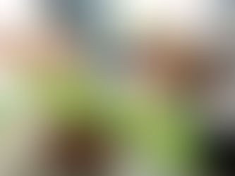 Vendredi 18 novembre: atelier cuisine pour les GS