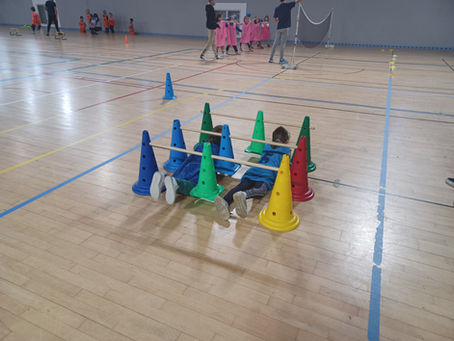 Jeudi 17 novembre: sortie sportive au Campus Sport de Bretagne de Dinard pour les CP, CE1 et CE2