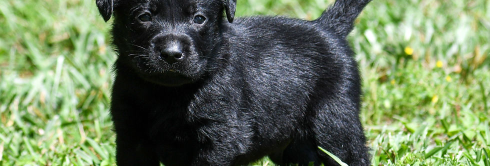 M1 Ezra 6.6.22 (3)-2.jpg