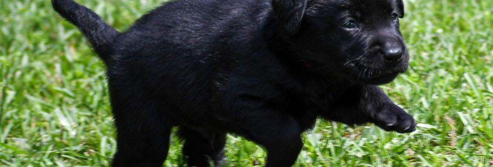 M2 Emmett 6.6.22 (4)-2.jpg