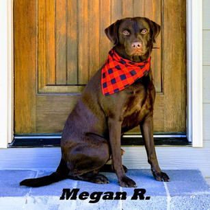 Megan R.jpeg