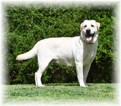 Titan 03-22-2020 (2)