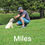Прев'ю: Reserve Miles (Moxie x  Maui's Boy)