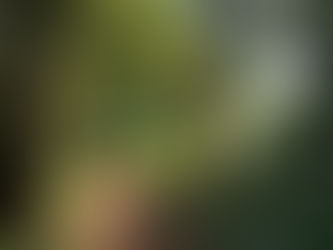 Conservation under curfew