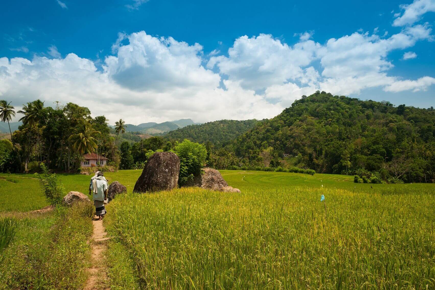 Polwaththa eco lodges sri lanka