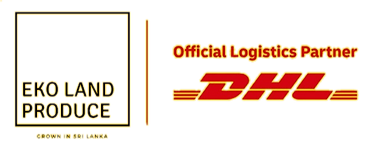 Copy of Untitled Design_edited_edited.png