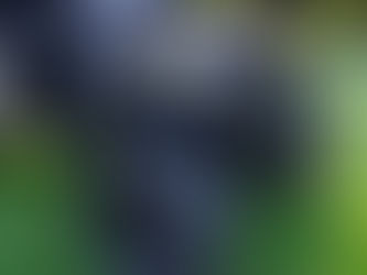 🧊 Winterizing Your Golf Cart: How to Prep for the Cold Months | Idaho EV